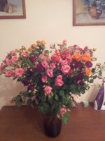 20131130_170412.jpg 20131130_170412.jpg