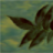 Марина В